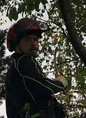 Sebastian Idecke - Rund um den Baum - Rödermark - Baumpflege